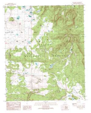 Rudd Knoll topo map