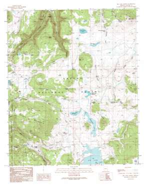 Big Lake North USGS topographic map 33109h4