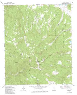 Mount Baldy USGS topographic map 33109h5