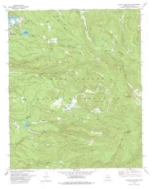 Hawley Lake East USGS topographic map 33109h6