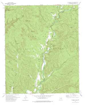 Alchesay Flat USGS topographic map 33109h8