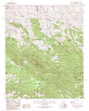 Rawhide Mountain USGS topographic map 33110a4