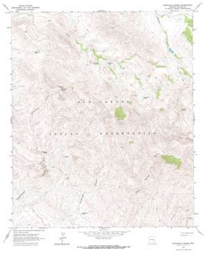 Branaman Spring topo map
