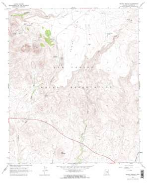 Mount Triplet USGS topographic map 33110c3