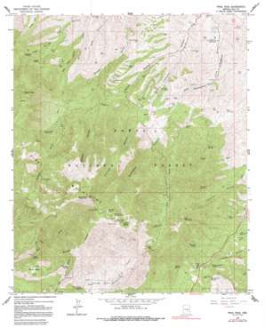 Pinal Peak USGS topographic map 33110c7