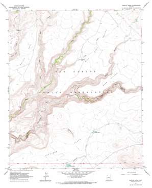 Sontag Mesa topo map