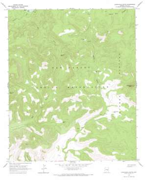 Chiricahua Butte topo map