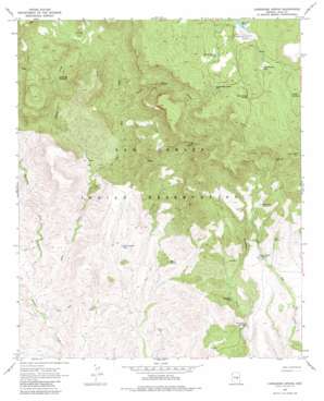 Cassadore Spring USGS topographic map 33110e4