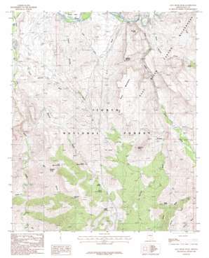 Salt River Peak USGS topographic map 33110e8