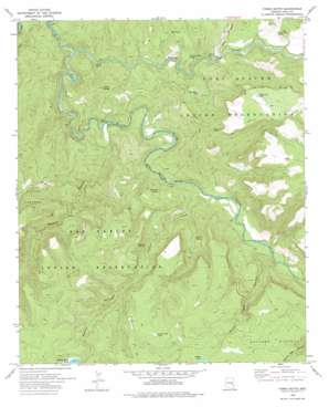 Forks Butte topo map