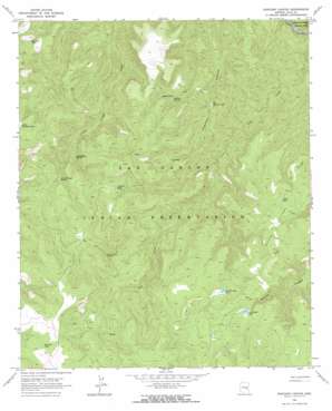 Popcorn Canyon USGS topographic map 33110f3