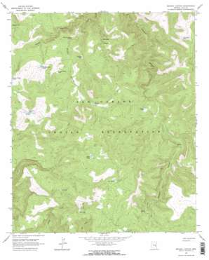 Brushy Canyon USGS topographic map 33110f4