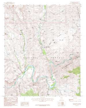 Dagger Peak USGS topographic map 33110f7