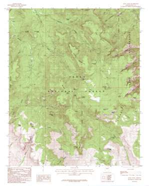 Aztec Peak USGS topographic map 33110g8