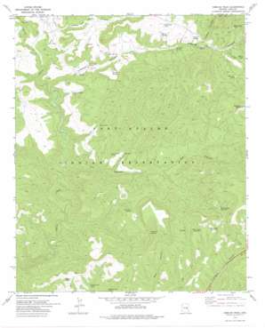 Cibecue Peak USGS topographic map 33110h4