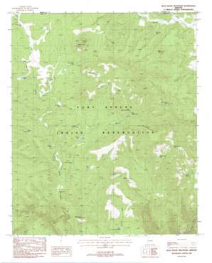 Blue House Mountain USGS topographic map 33110h5