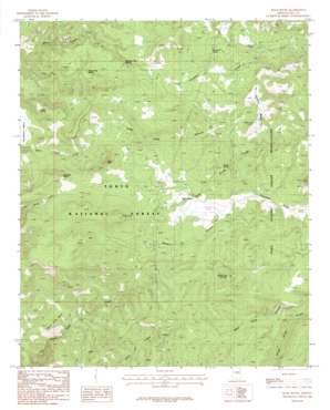 Rock House USGS topographic map 33110h7