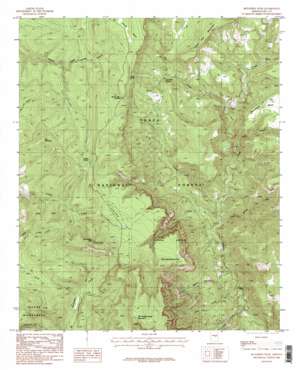 Mcfadden Peak topo map