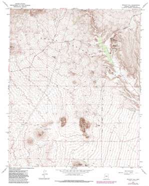 Wildcat Hill USGS topographic map 33111g7