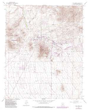 Cave Creek USGS topographic map 33111g8