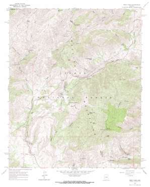 Reno Pass USGS topographic map 33111h4
