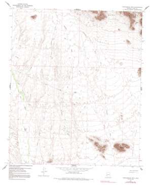 Turtleback Mountain USGS topographic map 33113b4