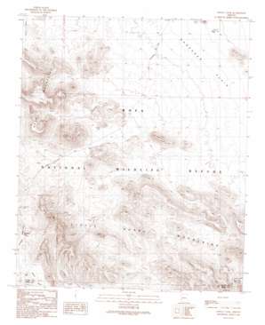 Cholla Tank USGS topographic map 33113d7