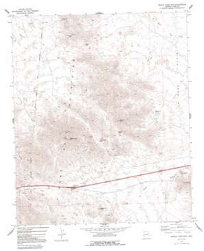 Middle Camp Mountain topo map