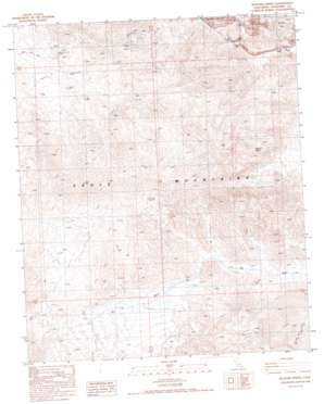 Buzzard Spring USGS topographic map 33115g5
