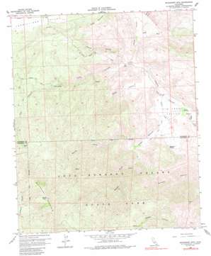 Bucksnort Mountain USGS topographic map 33116d5