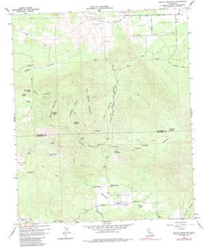 Beauty Mountain USGS topographic map 33116d6