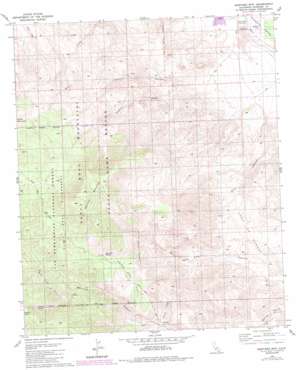 Martinez Mountain USGS topographic map 33116e3