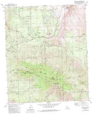 Toro Peak USGS topographic map 33116e4