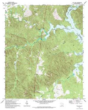 Flint Hill USGS topographic map 34080d8
