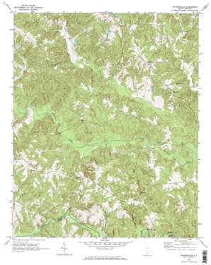Wilkinsville USGS topographic map 34081h5
