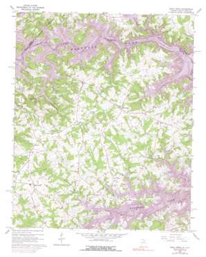 Reed Creek USGS topographic map 34082d8