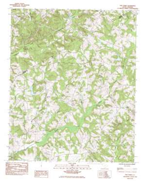 Five Forks topo map