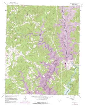 Old Pickens topo map
