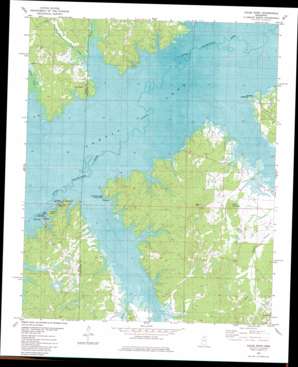 Coles Point topo map