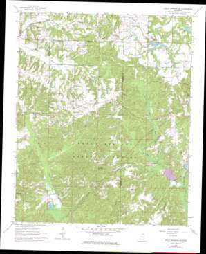 Holly Springs SE USGS topographic map 34089g3