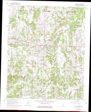 Slayden USGS topographic map 34089h4