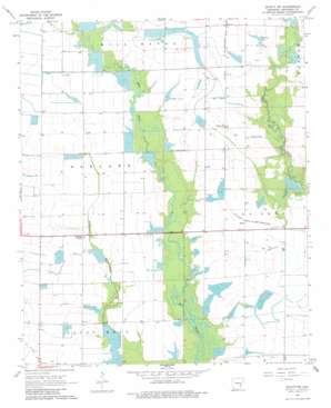 De Witt SW USGS topographic map 34091c4