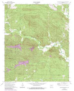 Goosepond Moutain USGS topographic map 34092f8