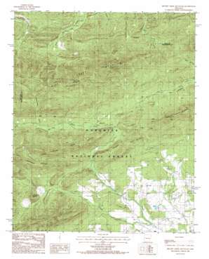 Brushy Creek Mountain USGS topographic map 34093f7
