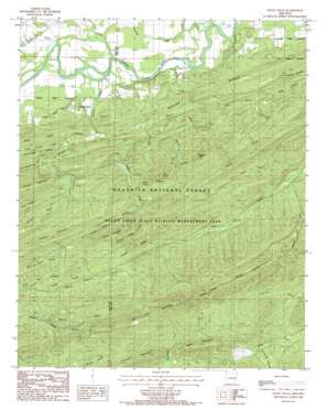 Little Texas USGS topographic map 34093g6