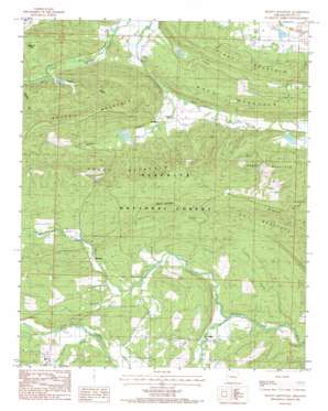 Peanut Mountain USGS topographic map 34094g2