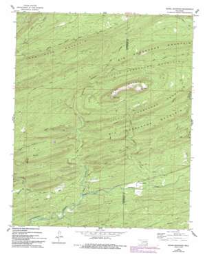 Signal Mountain USGS topographic map 34095c1