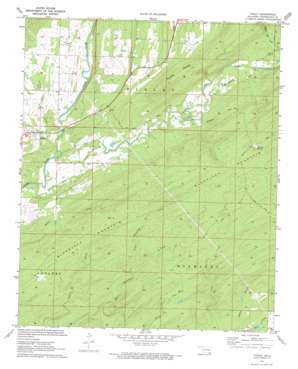 Finley USGS topographic map 34095c4
