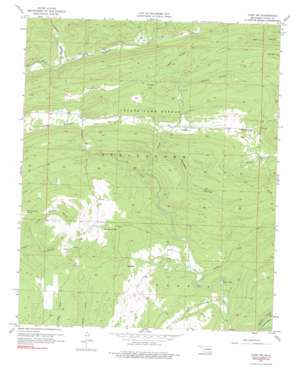 Lane NW USGS topographic map 34095d8
