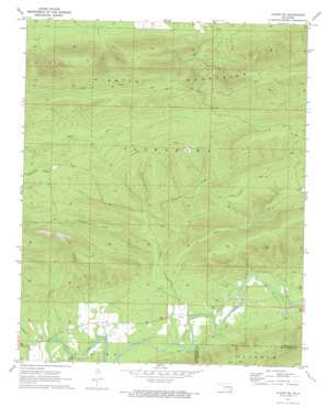 Mc Alester USGS topographic map 34095e1